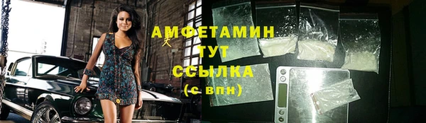 прущие грибы Дмитриев