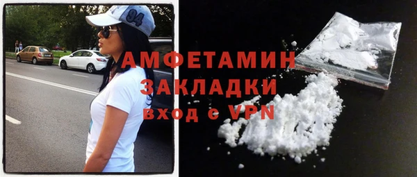 прущие грибы Дмитриев