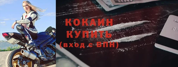 прущие грибы Дмитриев