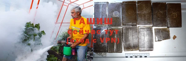 прущие грибы Дмитриев
