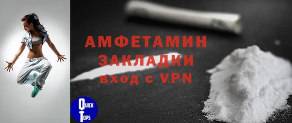 прущие грибы Дмитриев