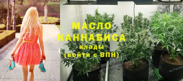прущие грибы Дмитриев
