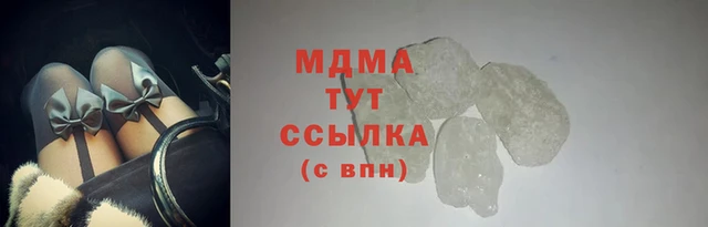 прущие грибы Дмитриев