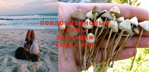 ешки Дмитров