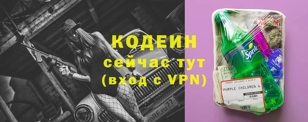 прущие грибы Дмитриев